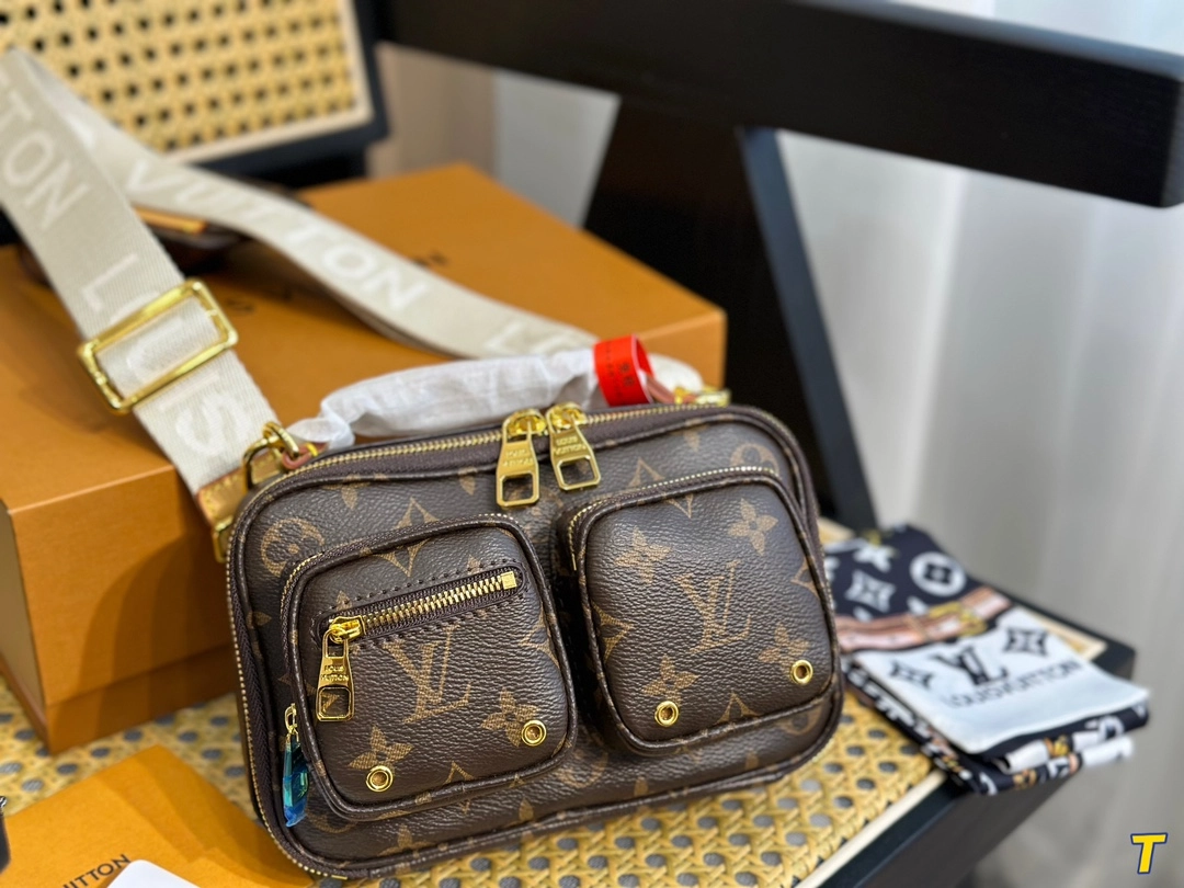 Louis Vuitton Bag11