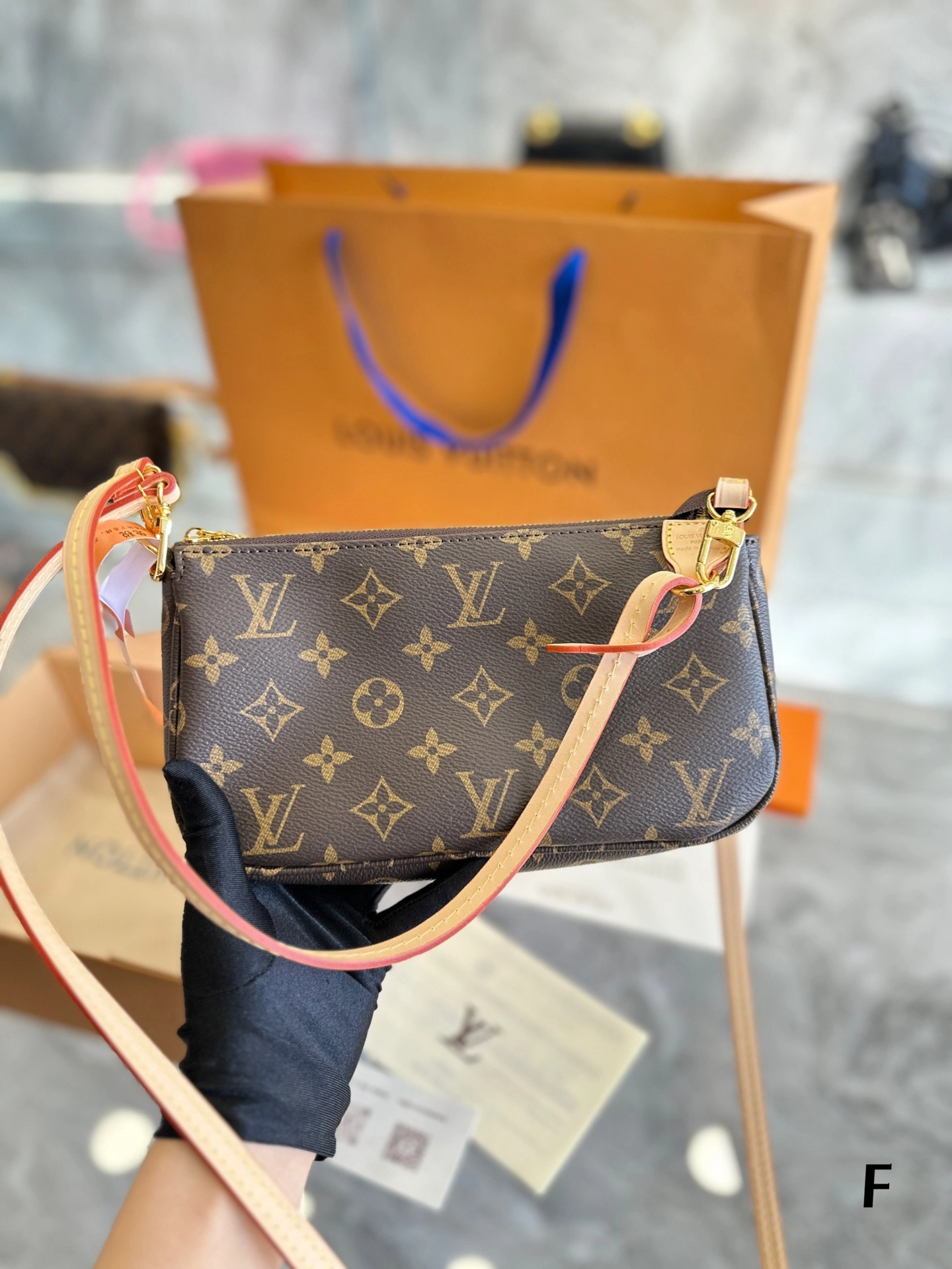 Louis Vuitton Bag14