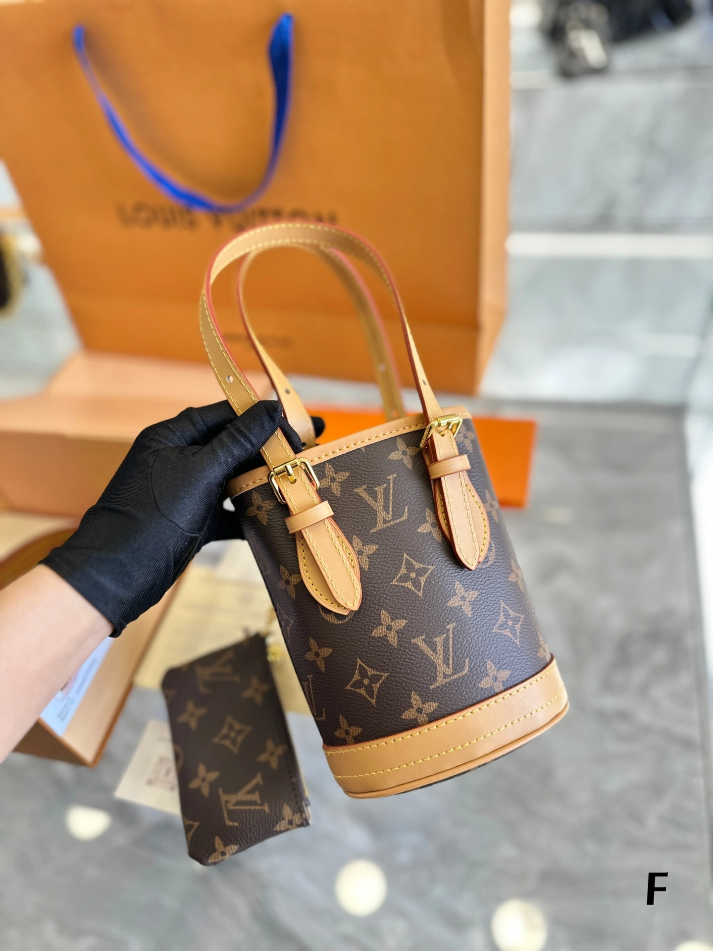 Louis Vuitton Bag16
