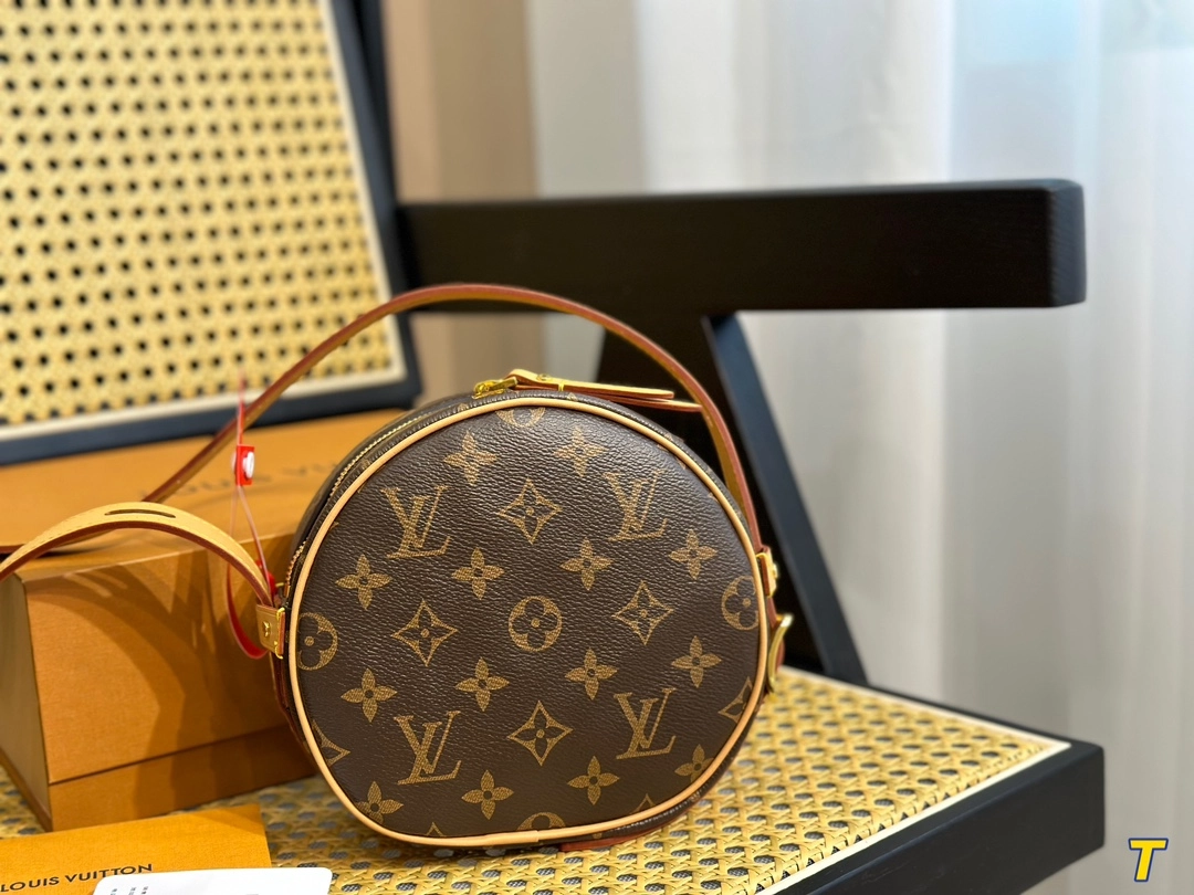 Louis Vuitton Bag12