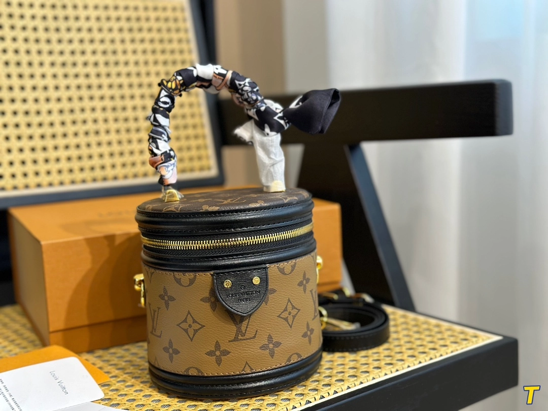 Louis Vuitton Bag10
